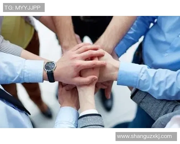 武汉极限运动队团队协作的成功秘诀与挑战分析